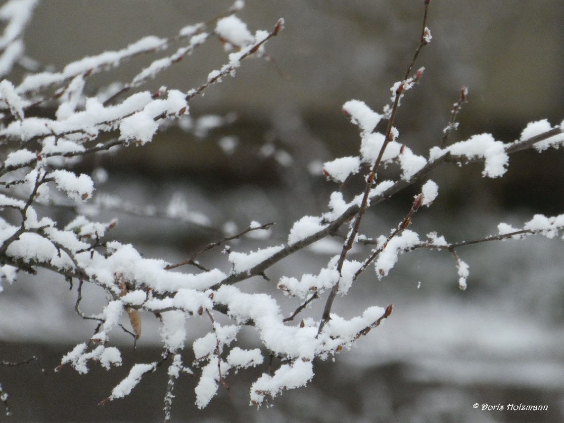 a bit of snow