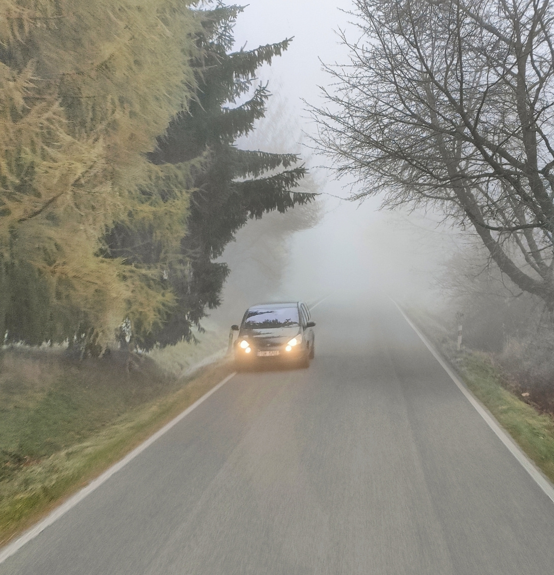 ON THE FOGGY ROAD