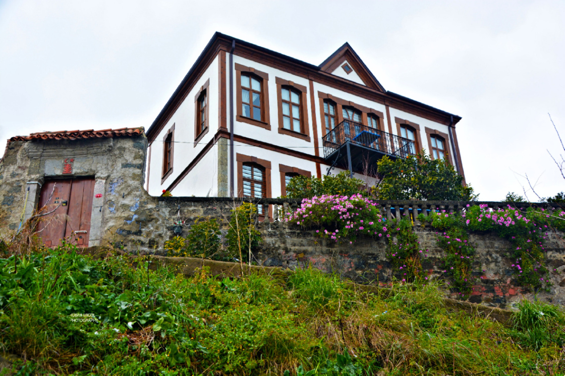 Manzara 