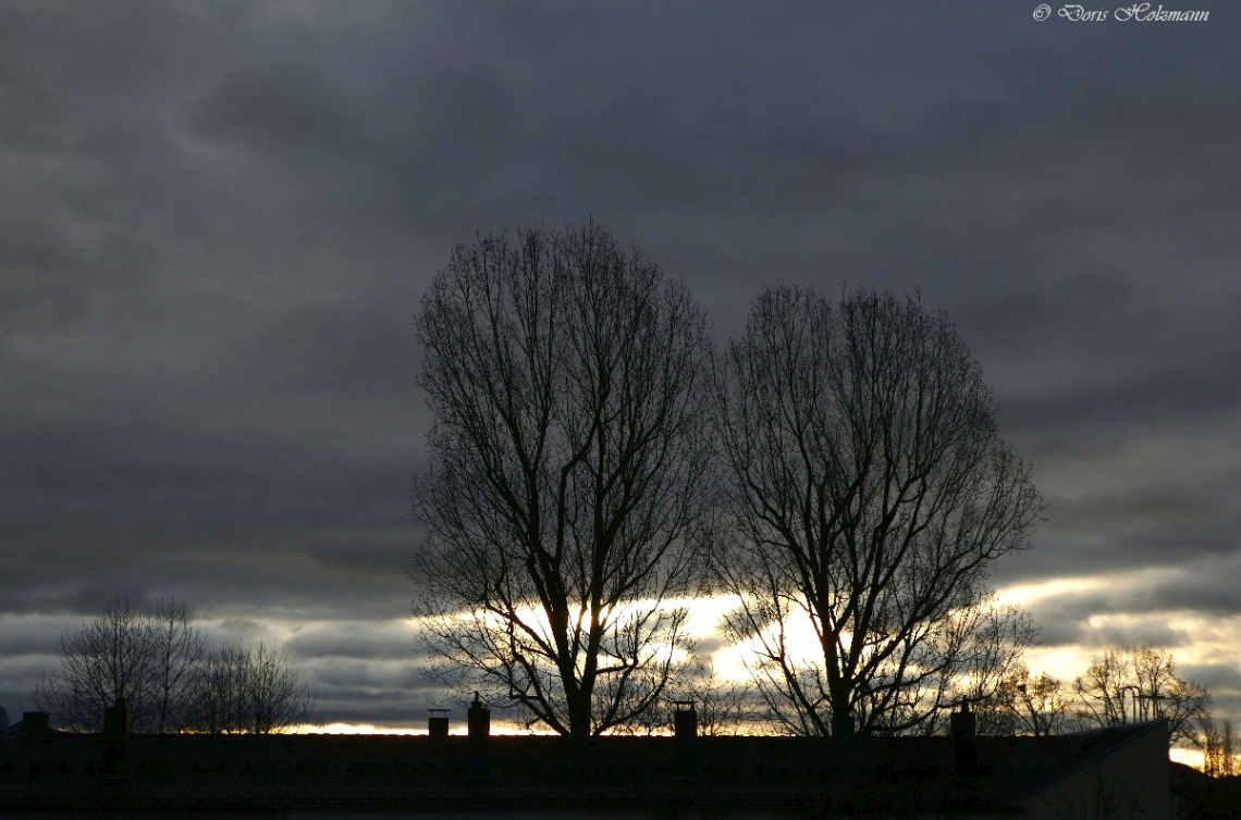 in the morning