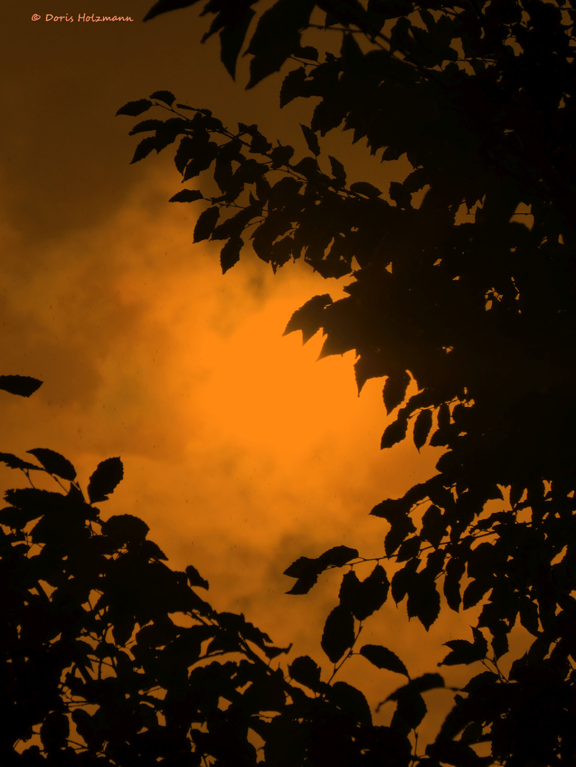 in the evening, Karlsruhe / Germany 