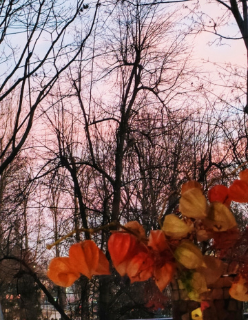 NATURE