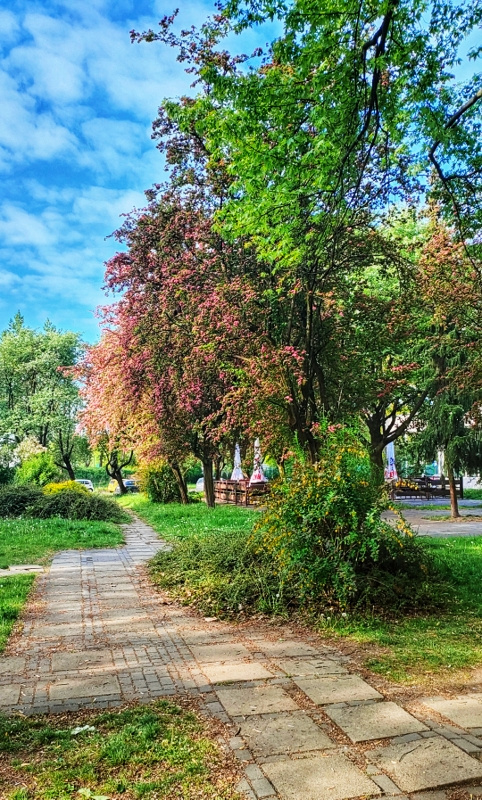 MY NEIGHBORHOOD 