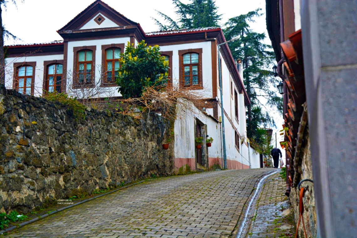 Manzara 