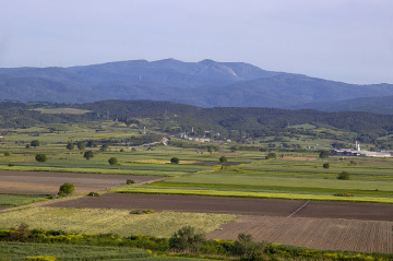 Tarlalar