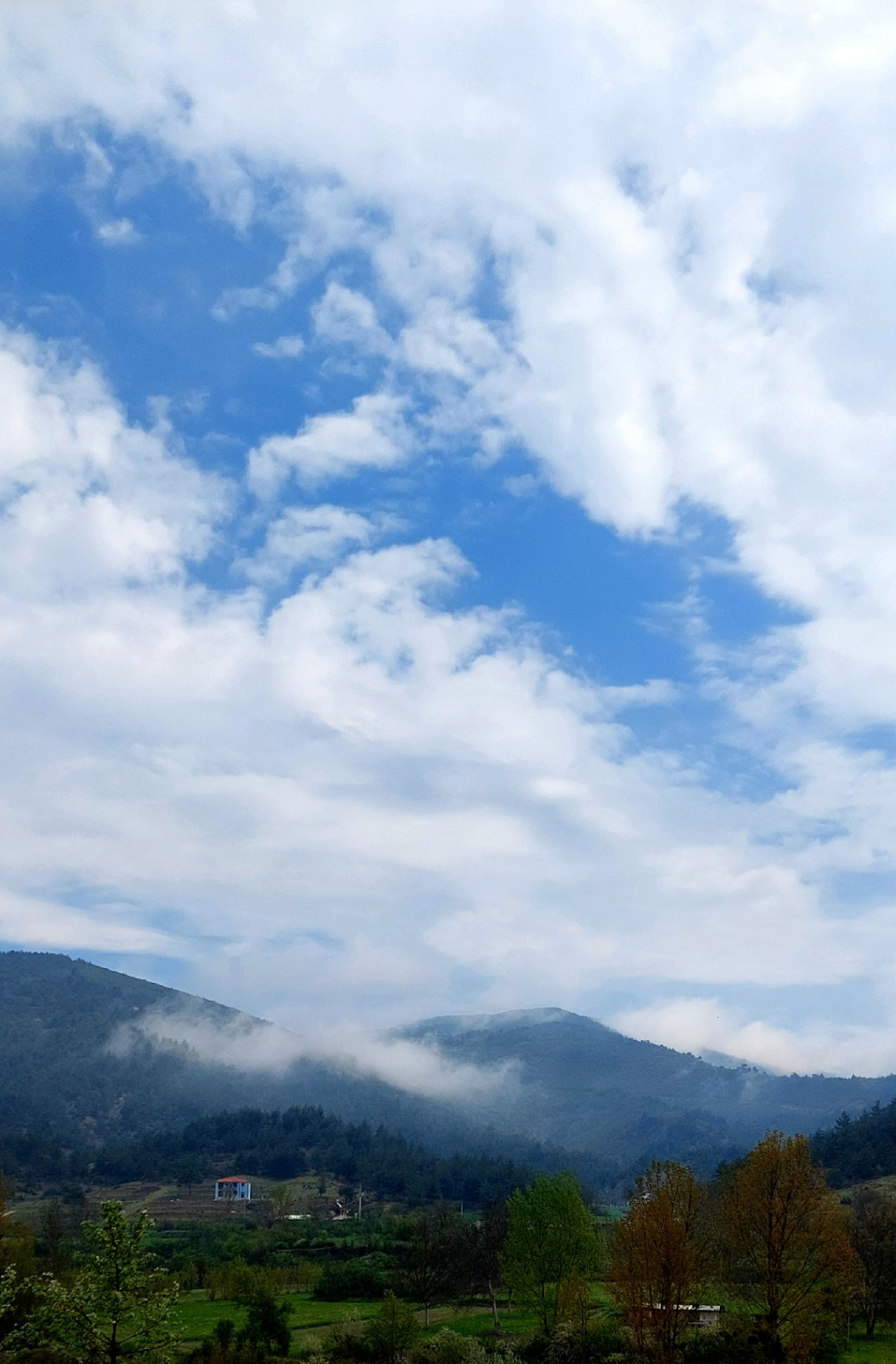 Dağ başı yalnızlığı 