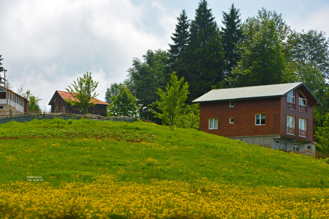Manzara 