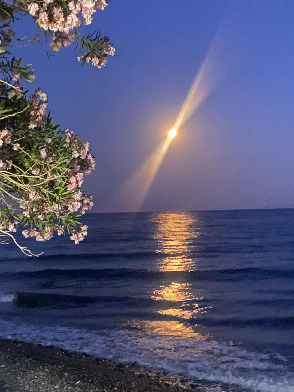 Küçükkuyu/Çanakkale