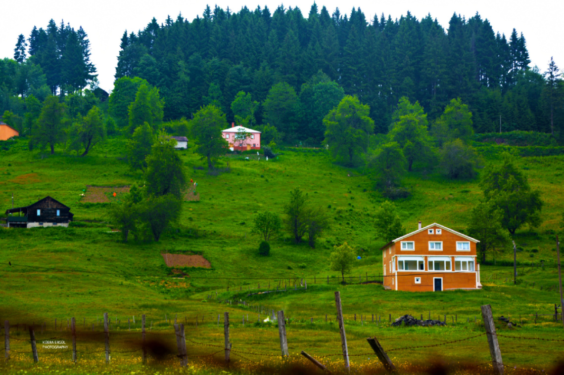 Manzara 