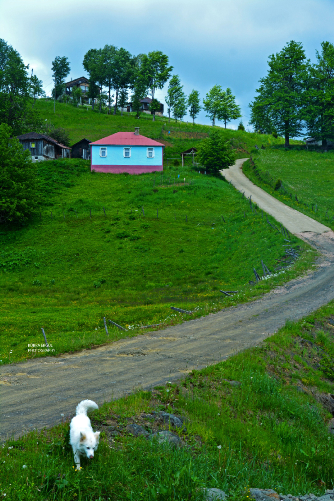 Manzara 