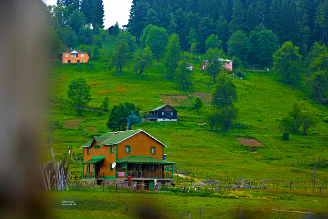 Manzara 