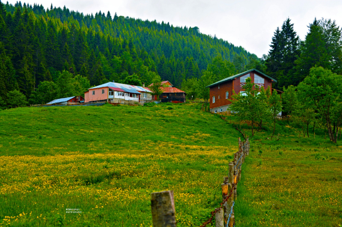 Manzara 