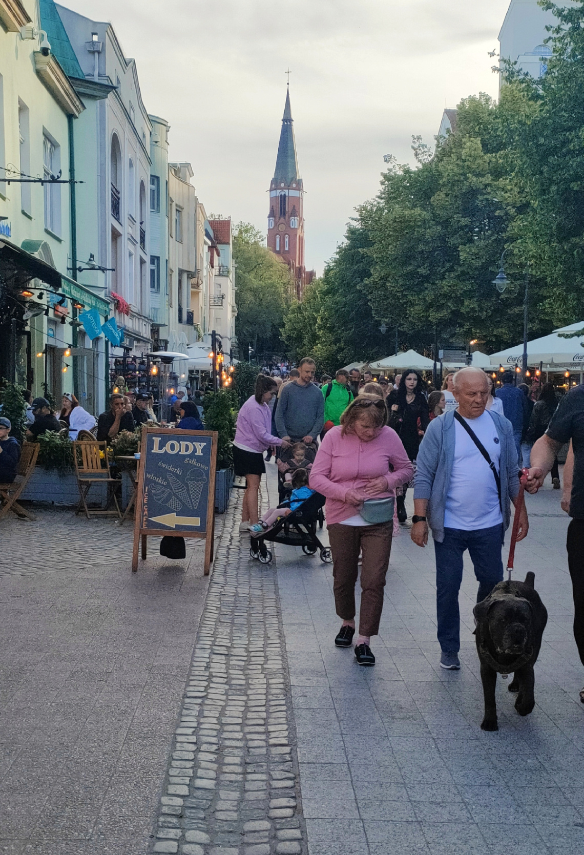 A WALK WITH DOG