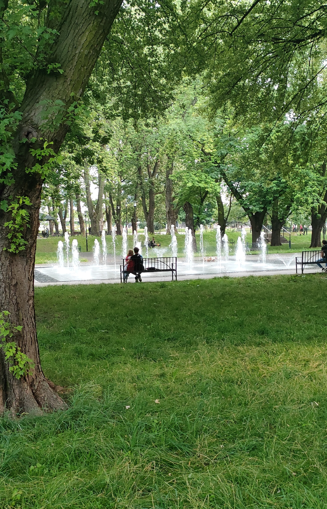 IN THE PARK