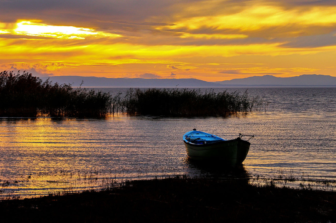 Bandırma Kuş Cenneti