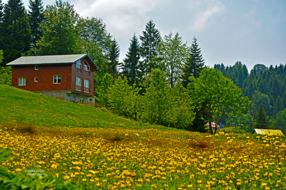 Doğa 