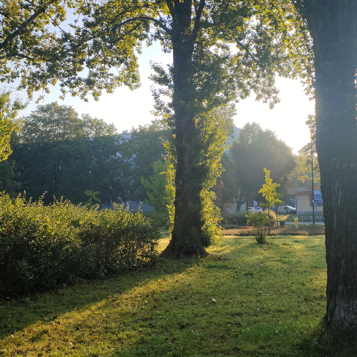 SEPTEMBER'S MORNING 