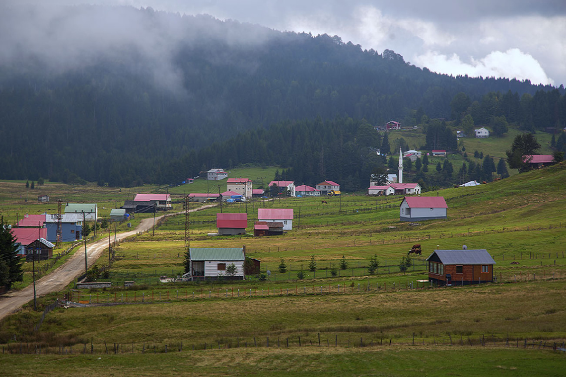 Tonya Kadıralak Yaylasından