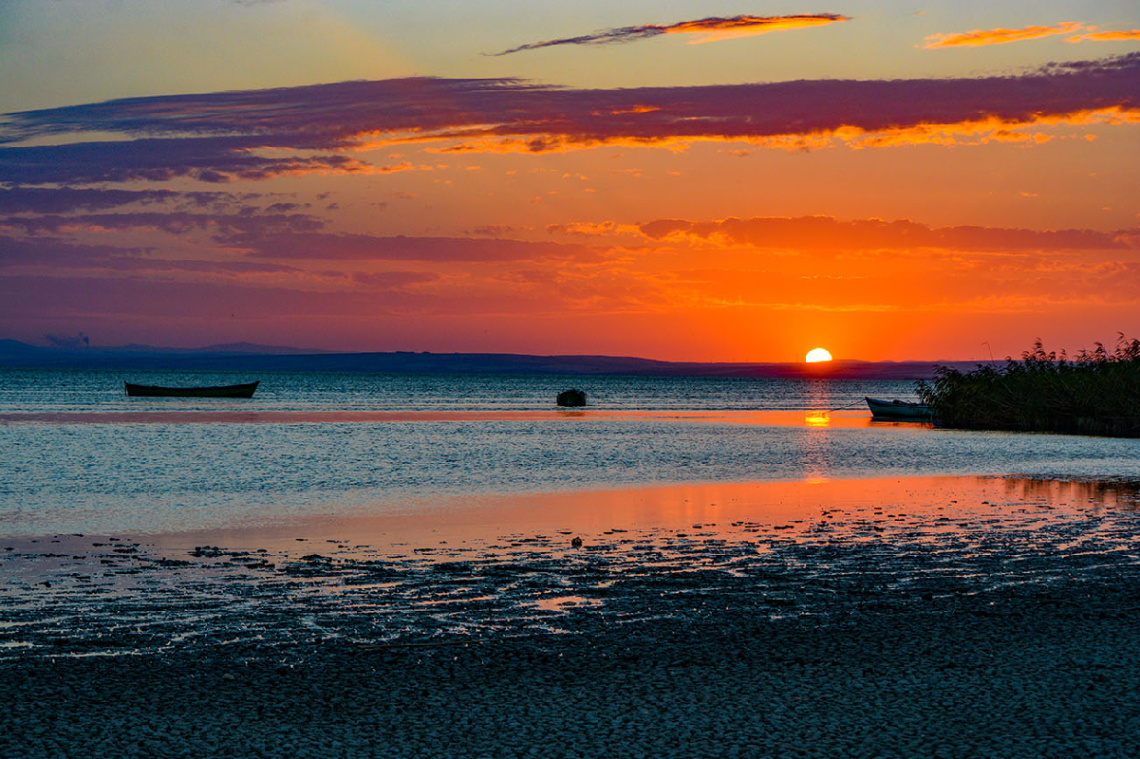 Kuş Cenneti - Bandırma