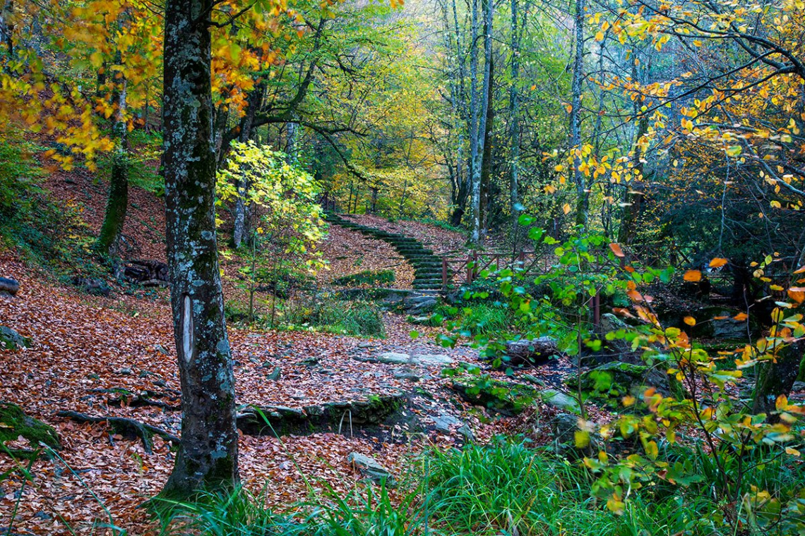 Suuçtu Hazanından - 2025