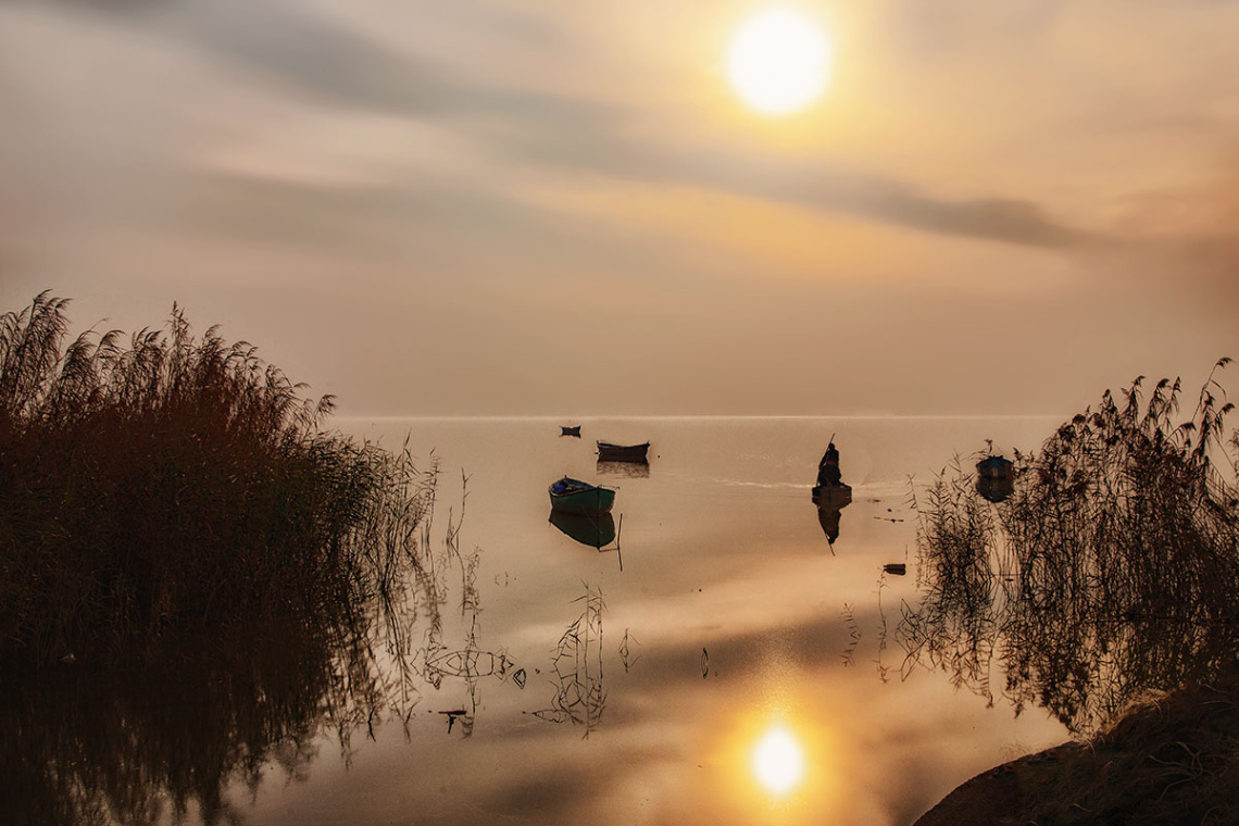 Kuş Cenneti  - Bandırma