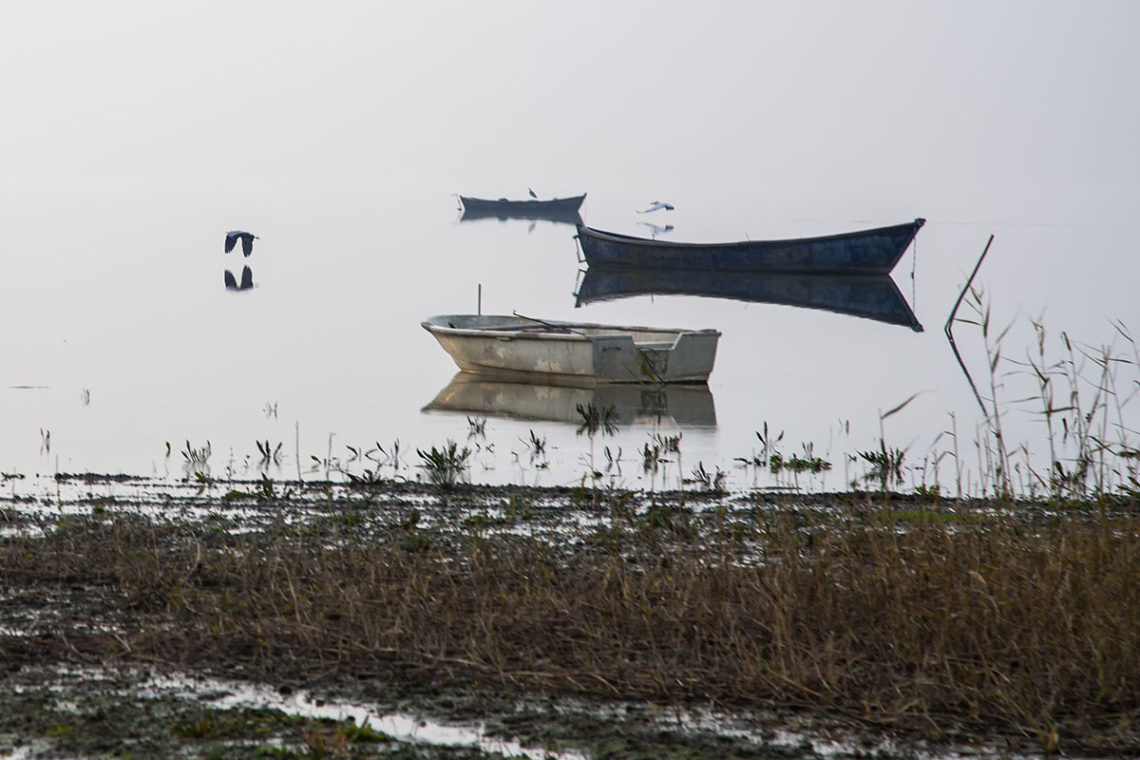 Bandırma Kuş Cenneti 