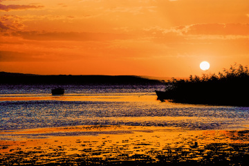 Bandırma Kuş Cenneti