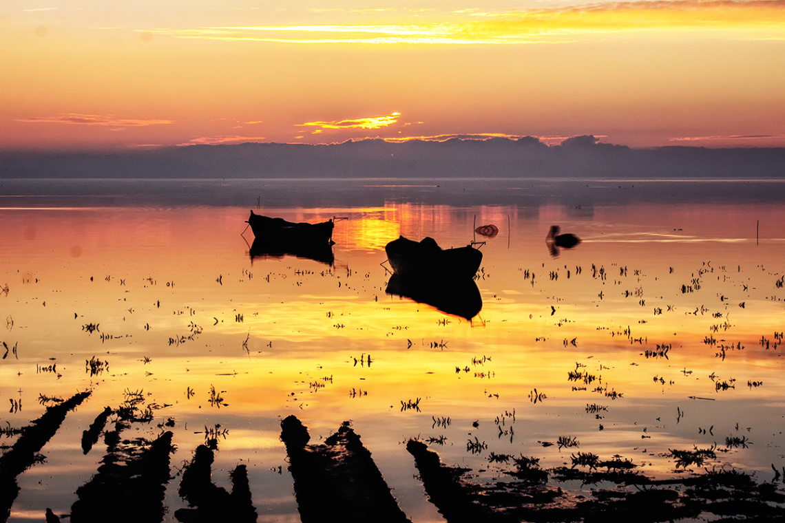 Kuş Cenneti - Bandırma
