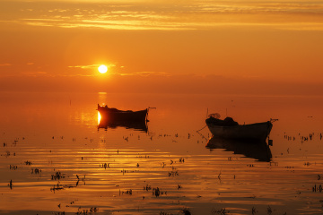Kuş Cenneti - Bandırma