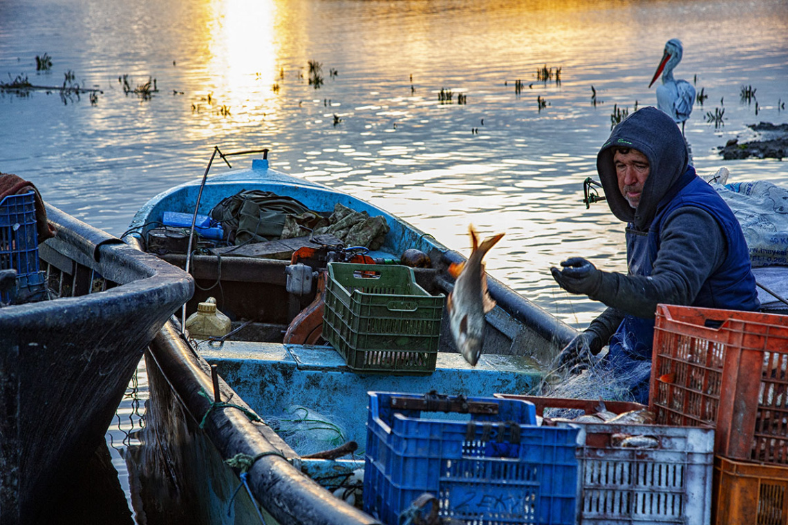 Bereketli Balıkçısı