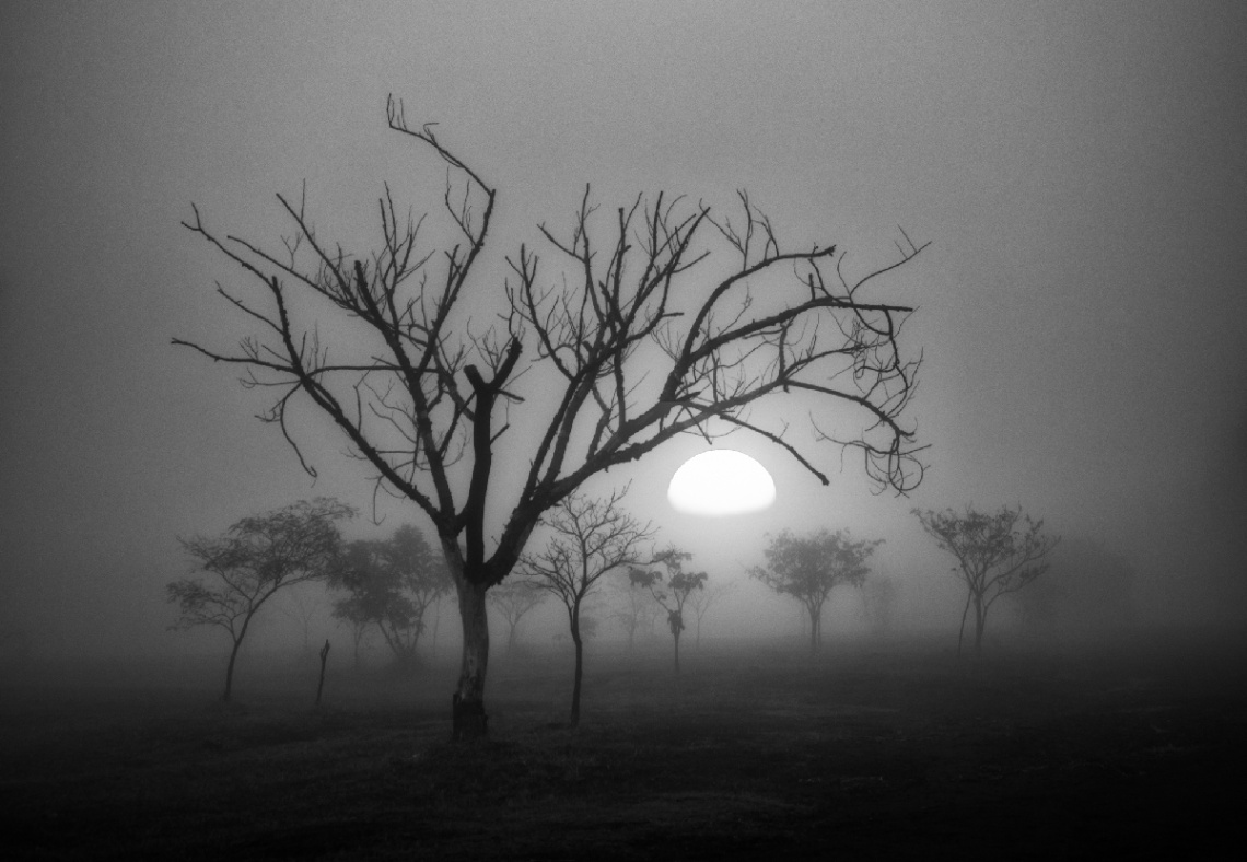 Manhã fria de inverno
