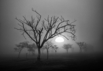 Manhã fria de inverno