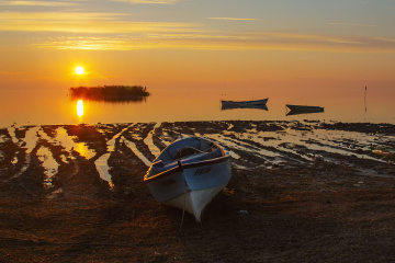 Bandırma Kuş Cenneti