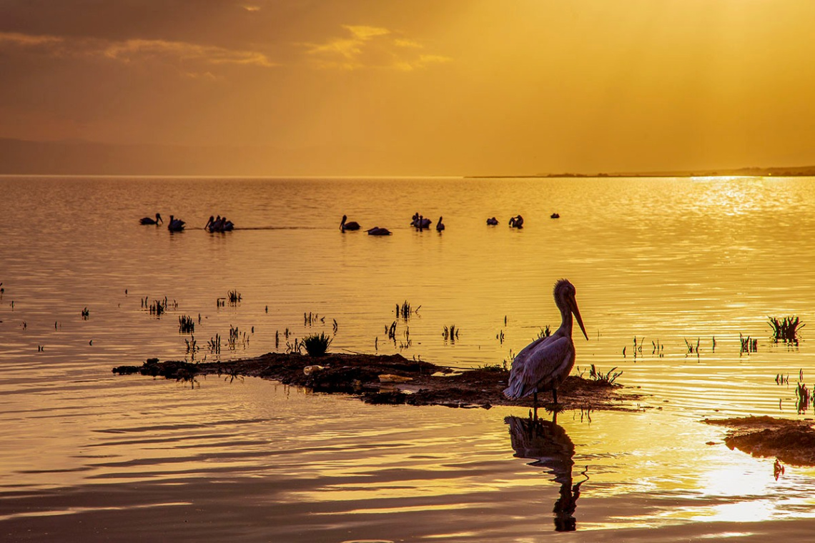 Bereketli - Bandırma