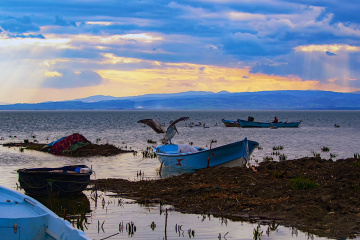 Bandırma Bereketli Kareleri 01