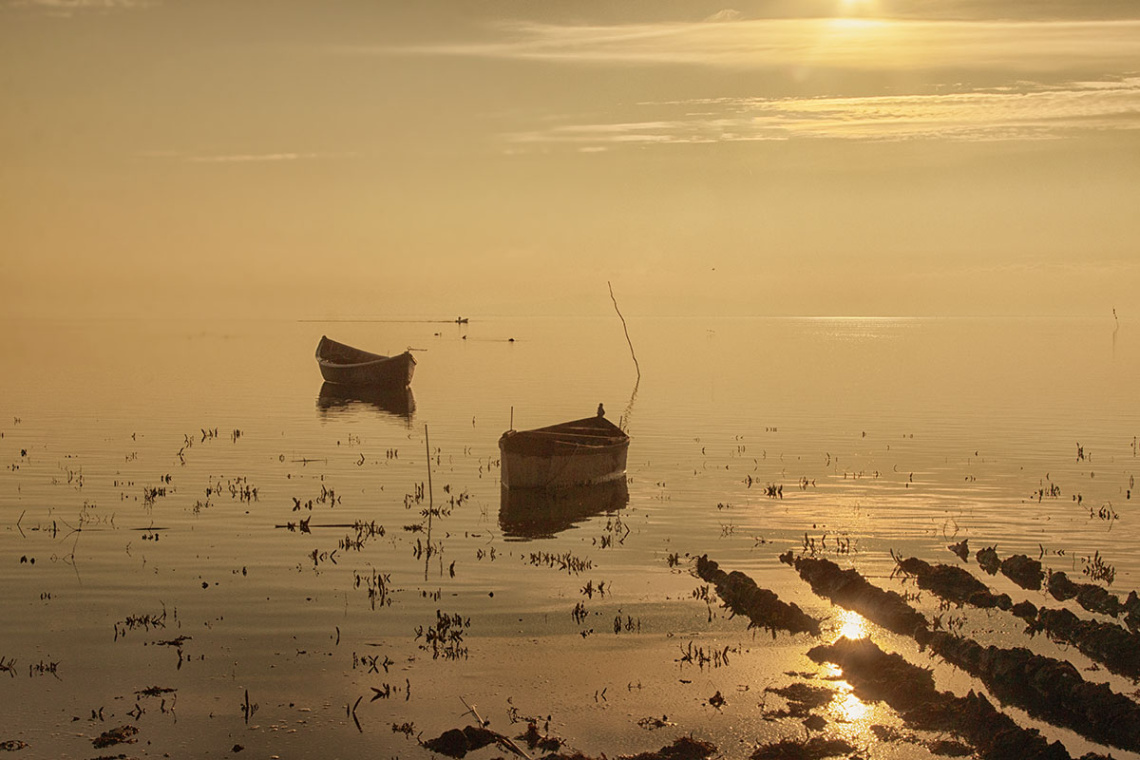 Kuş Cenneti - Bandırma