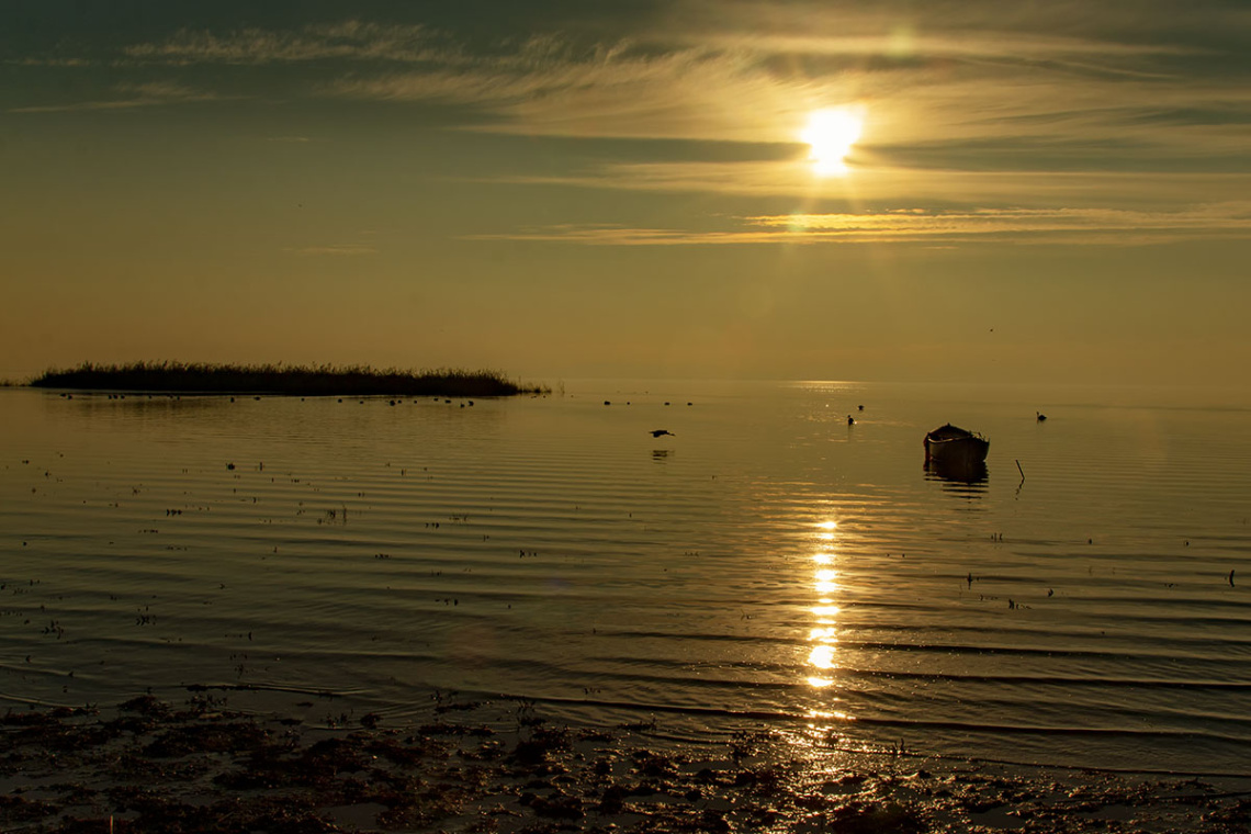 Bandırma Kuş Cenneti