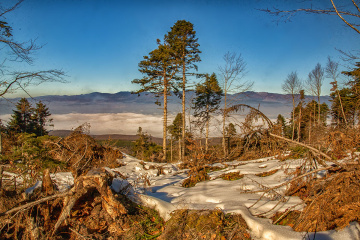 Bolu Gölcük - Kar ve sis altında - 2015