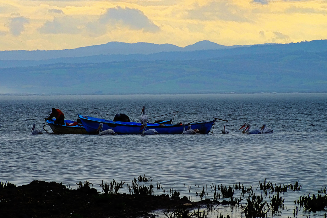 Bereketli - Bandırma