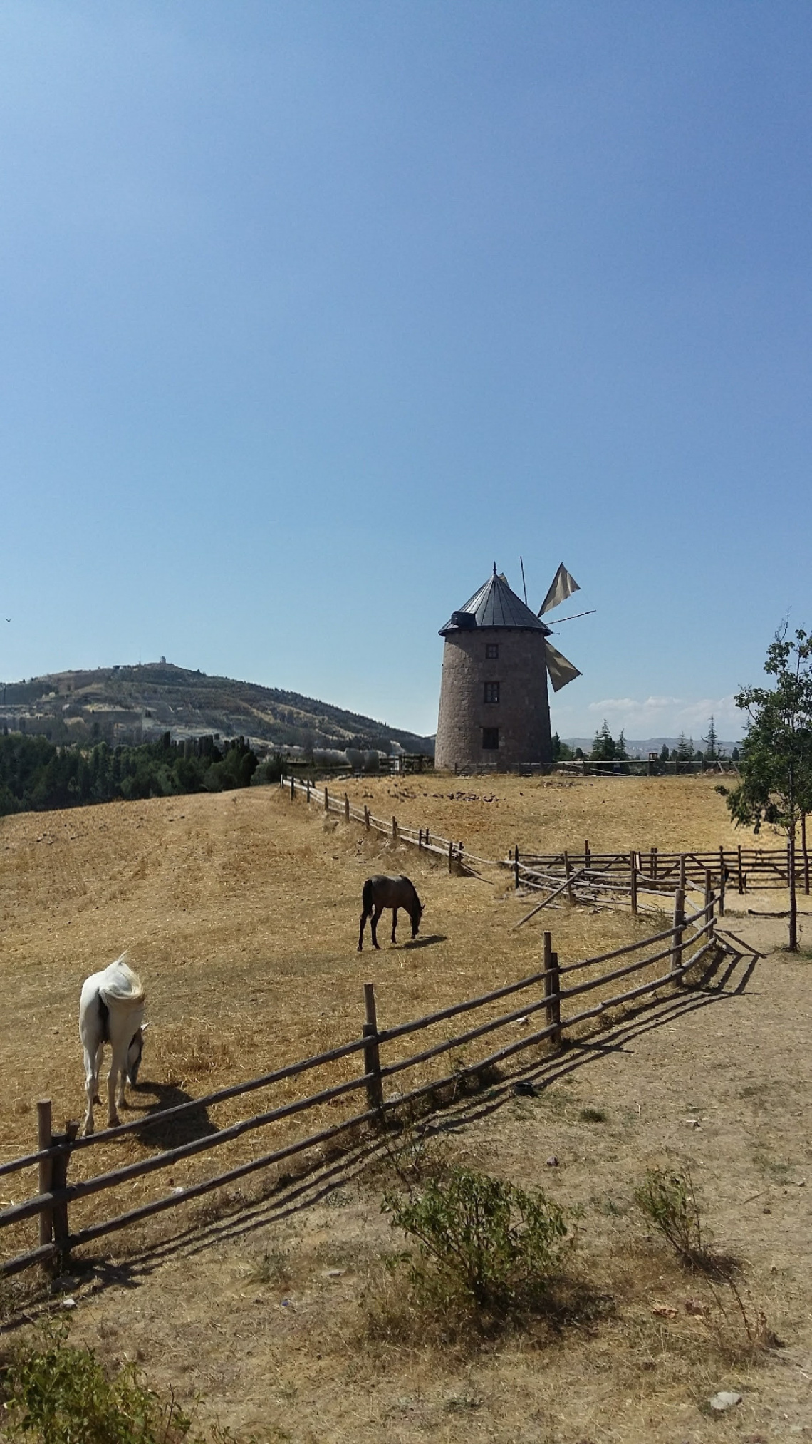 Değirmenin Fısıltısı