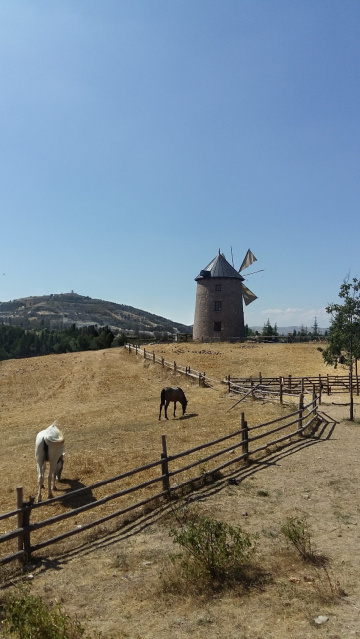 Değirmenin Fısıltısı