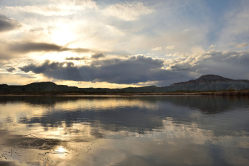 Nallıhan Kuş Cenneti