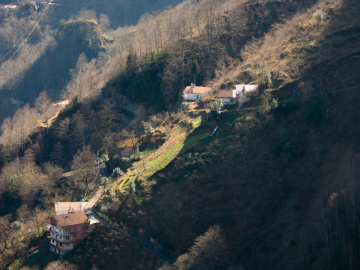 Kış Güneşi