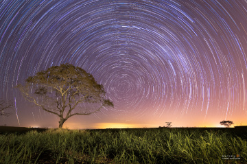 Startrail