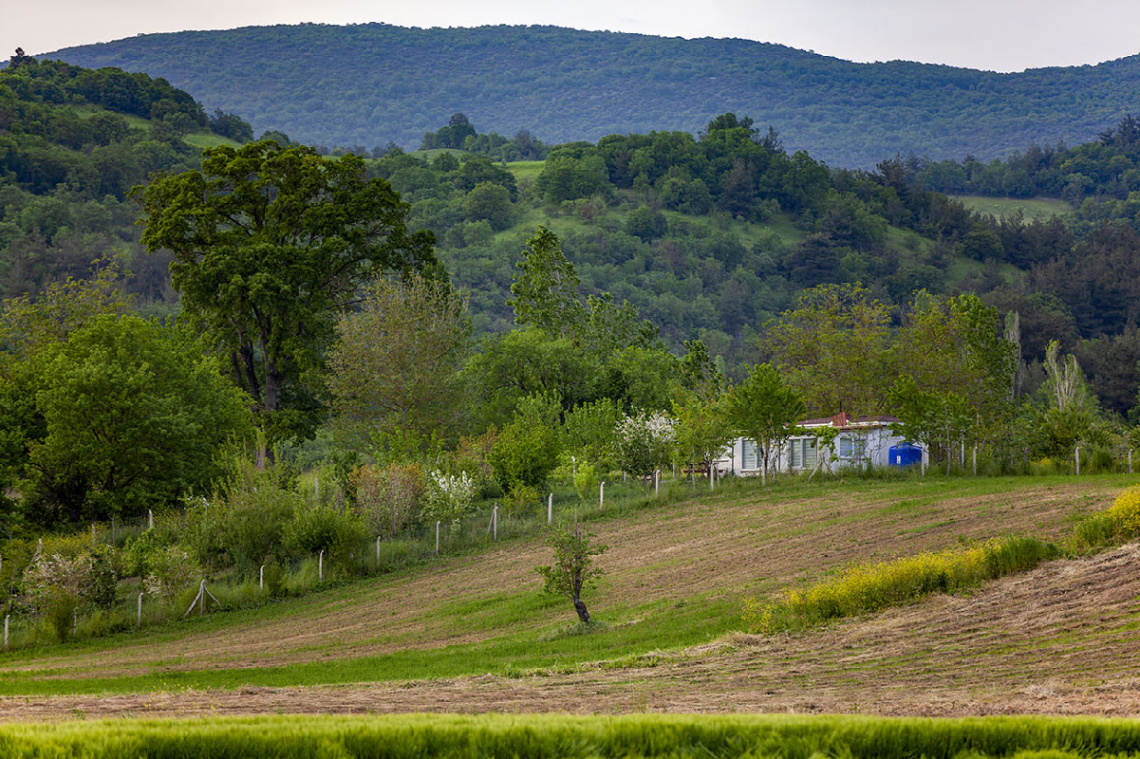 Bağ Evi