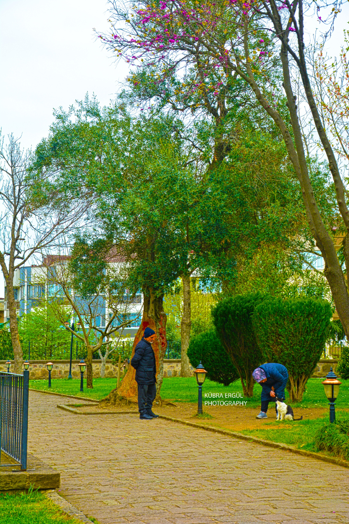 Şehir ve mimari 