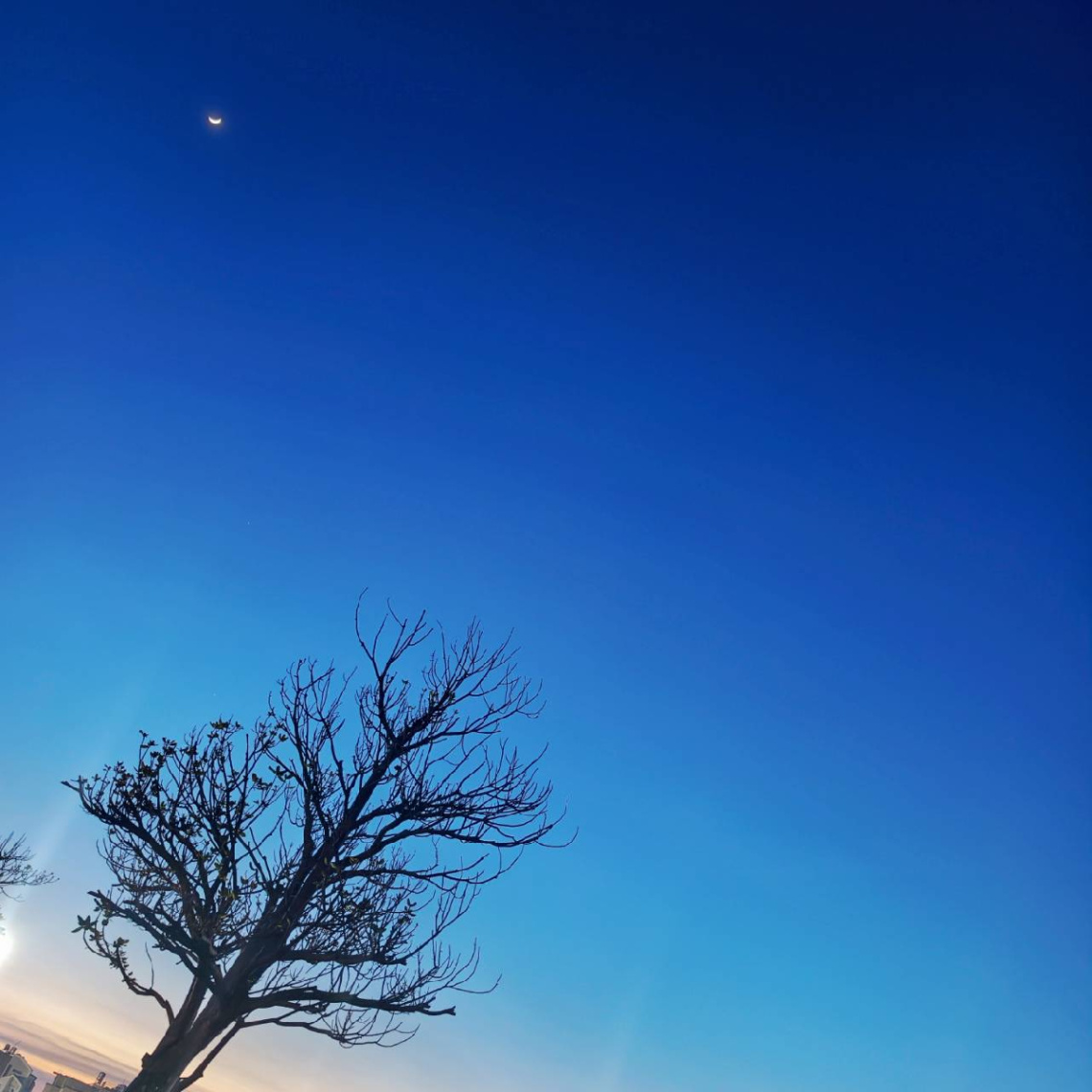 晴空的夜晚