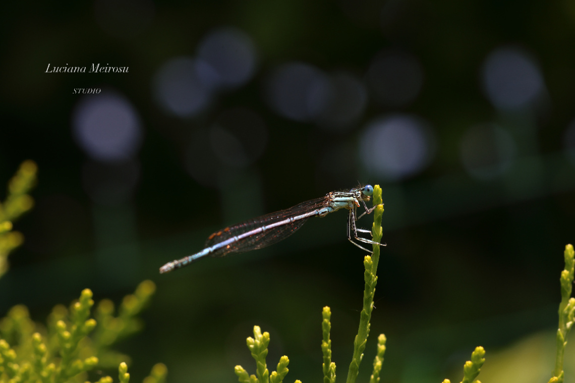 Tiny moments, endless beauty!