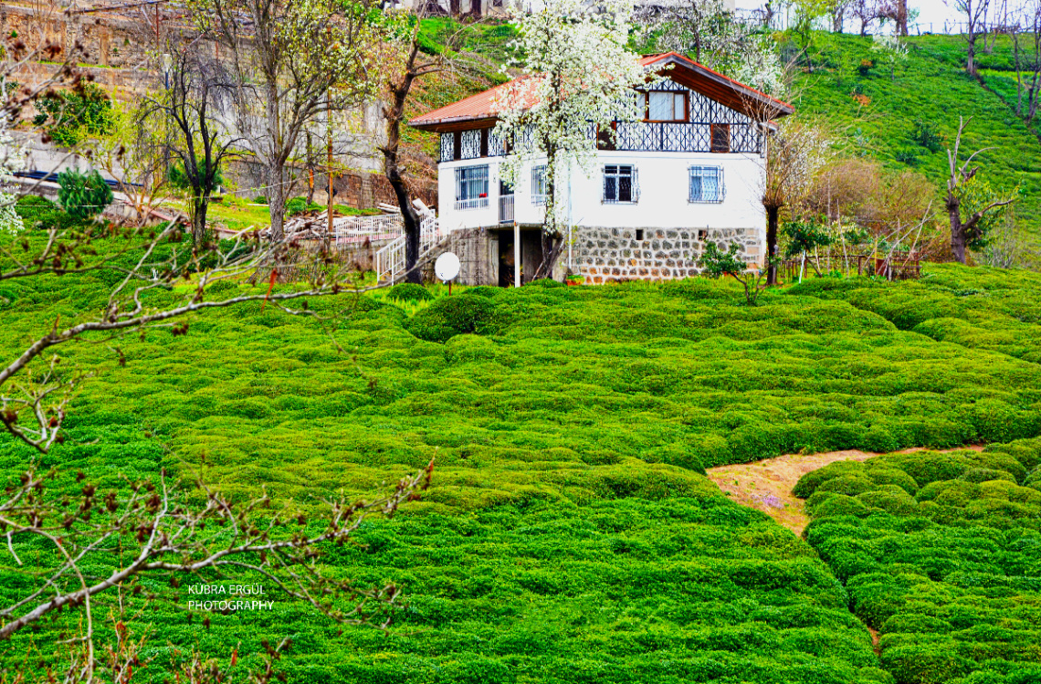 Doğa 