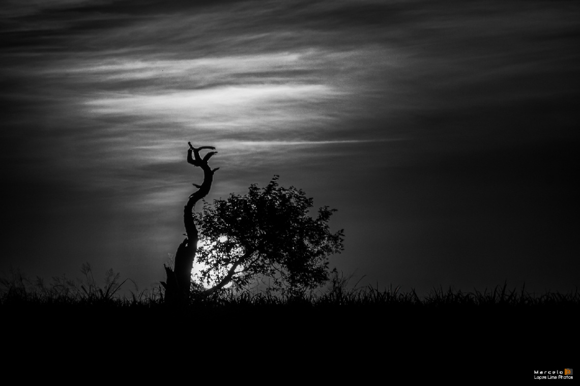 Pôr do sol em preto e branco
